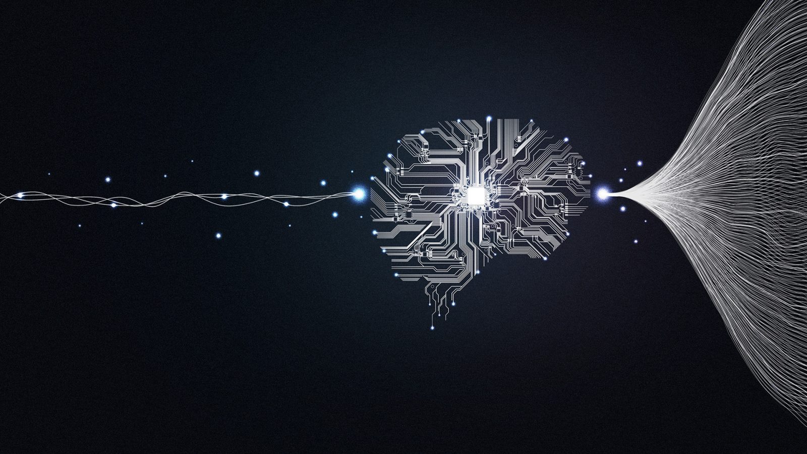 Animals and AI help scientists study pandemics