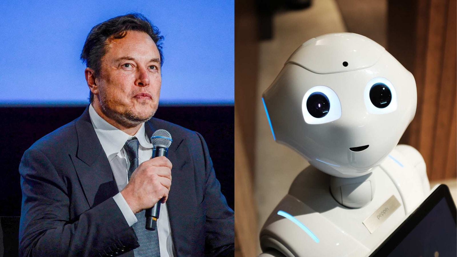 Elon Musk is entering the world of artificial intelligence